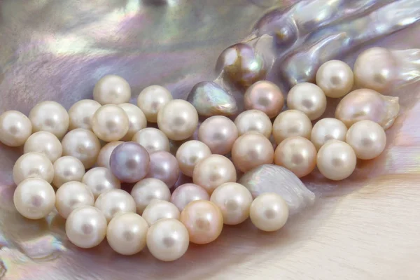 Beautiful pearls — Stock Photo, Image