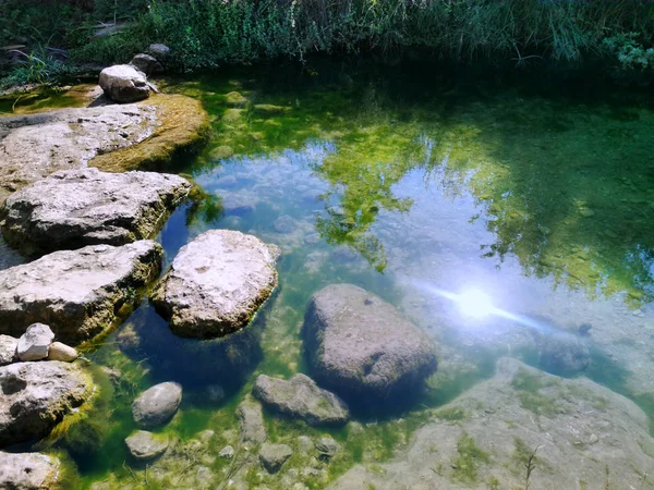 Дикий струмок з чистою водою і камінням Стокова Картинка