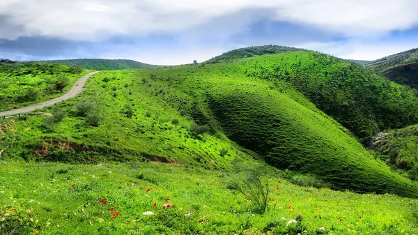 Зелені пагорби Ізраїлю — стокове фото