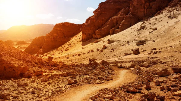 Timna Park Une Des Grandes Attractions Sud Israël Parc Dans — Photo