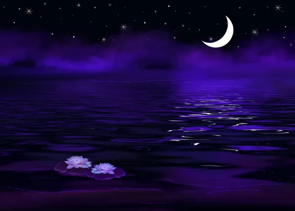 Purple Night Lake Two Water Lilies Digital Artwork — Stock Photo, Image
