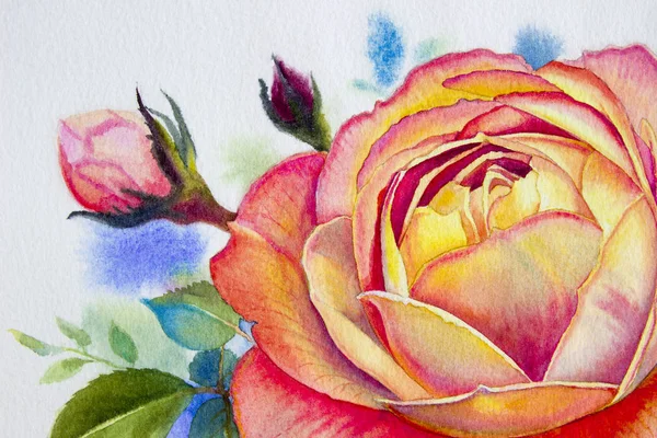 Rosa Naranja Flor Pinturas Acuarela Originales Rosas Hojas Verdes Primavera — Foto de Stock