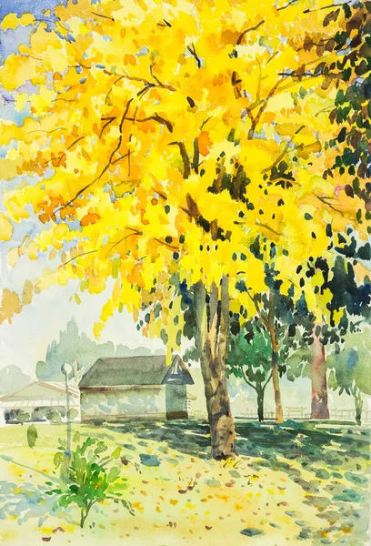 Akwarela Pejzażowego Oryginalny Żółty Pomarańczowy Kolor Kwiatów Złote Drzewa Tle — Zdjęcie stockowe
