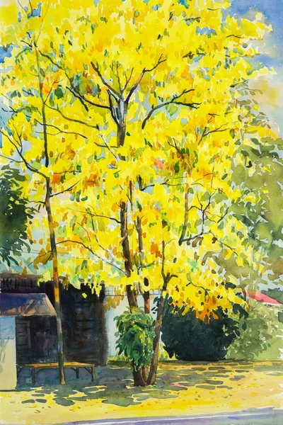 Akwarela Malarstwo Żółty Pomarańczowy Kolor Kwiatów Drzewa Złoty Deszcz Niebo — Zdjęcie stockowe
