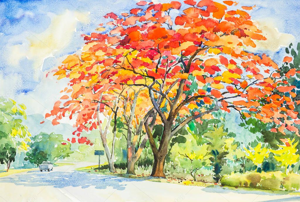 Watercolor original landscape painting red, orange color of peacock  flowers tree in sky and cloud background