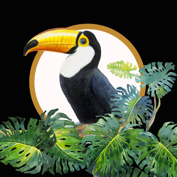 Jeden Pták Velkým Zobákem Toucan Pták Sedící Větvi List Monstera — Stock fotografie