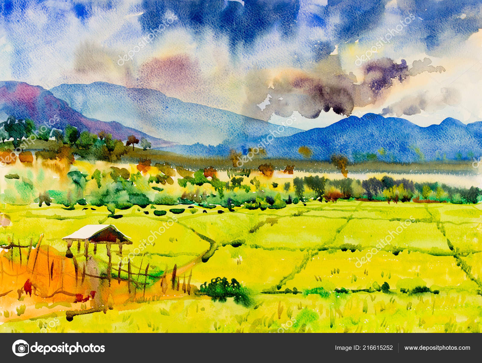 Discover more than 123 rice field drawing best