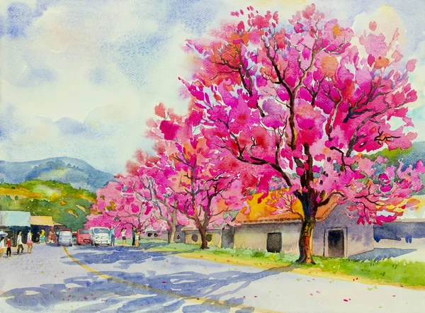 Family holiday travel, in winter with blooming bright pink flowers. Watercolor painting landscape of Wild himalayan cherry, roadside, Hand painted, beauty nature spring season, landmark in Thailand.