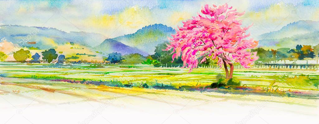 Painting watercolor landscape pink color of flowers with bright alone tree on cornfield in the spring season. Hand painted, mountain, blue sky, cloud background, beauty nature, winter season, panorama