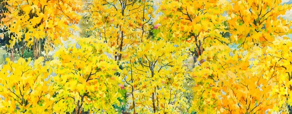 Autumn trees. Painting watercolor landscape, orange and yellow color of flowers and leaf in forests and blue sky, background, beauty nature winter season. Hand painted illustration, art wallpaper.
