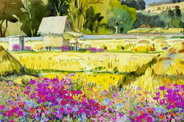 Watercolor landscape original painting on paper colorful of cottage farmer and flower, rice field in the morning, in sky background, Hand painted illustration beauty nature winter season in Thailand.