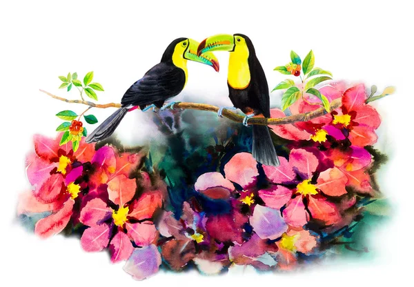 Hornvögel Vogelpaar Auf Kirschzweigen Und Blumen Abstrakte Kunst Aquarell Rosa — Stockfoto