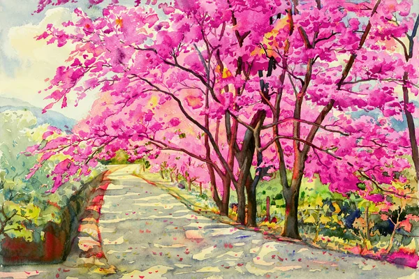 Pintura acuarela paisaje de cereza salvaje himalaya . — Foto de Stock