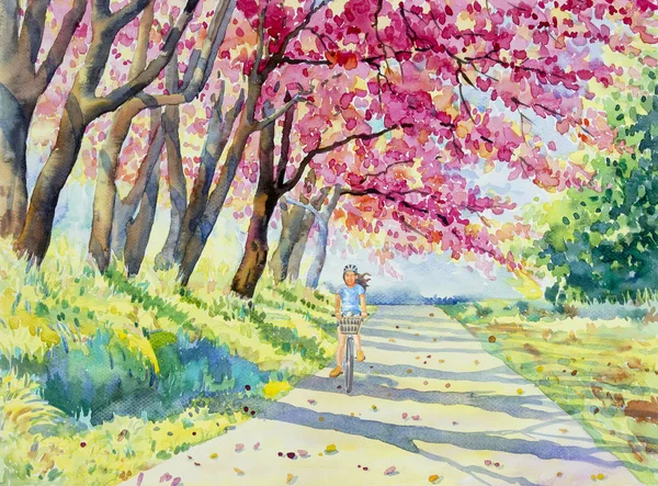 野喜玛拉雅樱桃水彩画粉红 — 图库照片