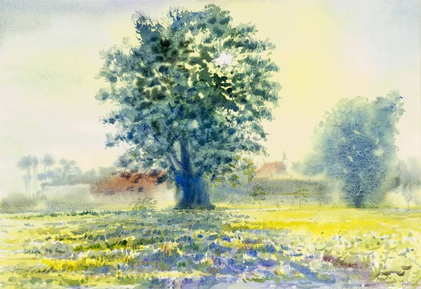 Paesaggio acquerello pittura originale colorato del sole del mattino a — Foto Stock