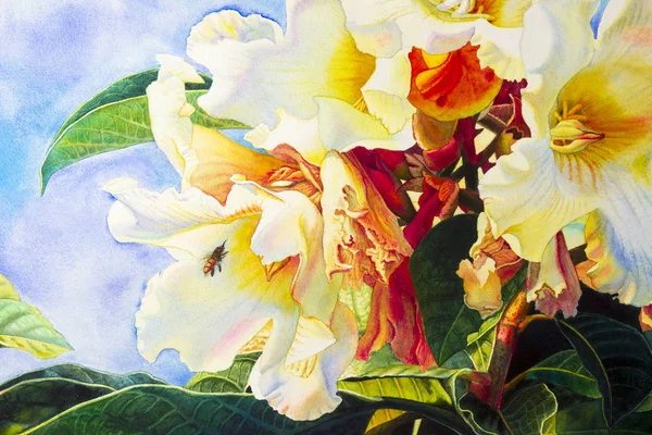 Pinturas de paisaje acuarela colorido de la flor trompeta Herald — Foto de Stock