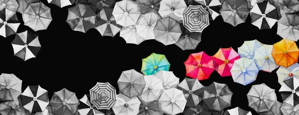 안녕 하 세요 여름 물감그리기 화려 한 우산. — 스톡 사진