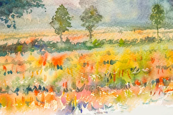 Watercolor original landscape painting yellow color of golden rice field and blue background