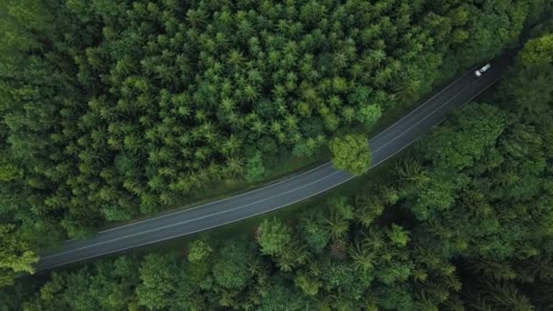 Auto's verplaatsen over de weg in het woud in Duitsland. Bovenaanzicht — Stockvideo