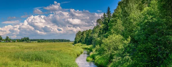 Летние поля Стоковая Картинка