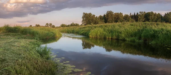 Маленькая Река Зеленом Лугу Рядом Лесом Отражает Облака Заката Стоковая Картинка