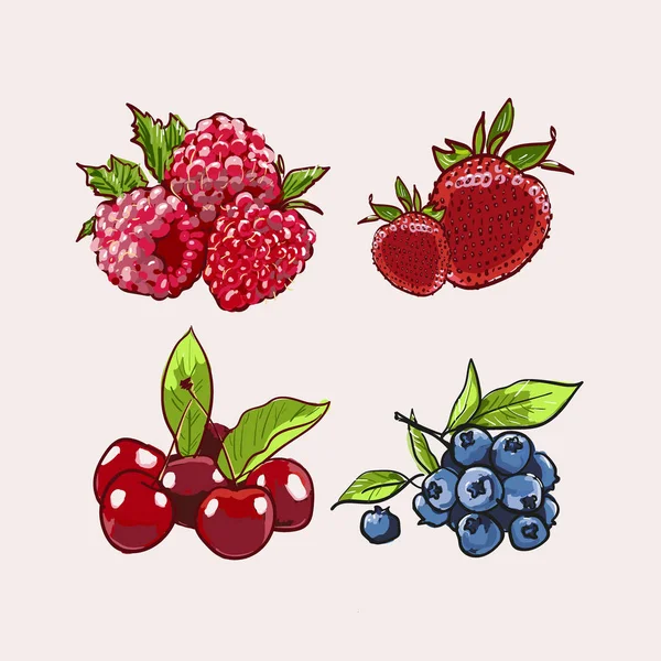 Berry Hand drawn set. Berry colorful marker illustration. Berries engraving doodle sketch line. Raspberry, strawberry, cherry blueberry on white background.Dessert Healthy farm natural product.