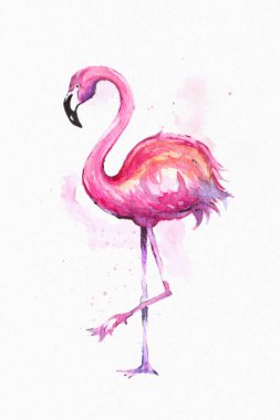 Sulu boya egzotik flamingo. Yaz dekorasyon sarma, duvar kağıdı, kumaş, kart için yazdırma. illüstrasyon