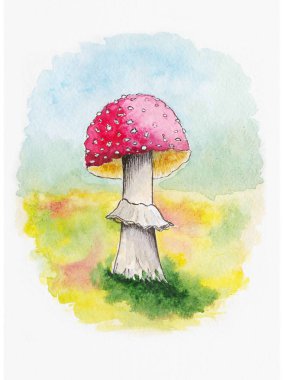 Mantar amanita. El Beyaz zemin üzerine suluboya resim çekilmiş. illüstrasyon