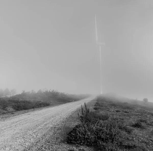 アストゥリアス州 光線効果を作成する光霧のために野生の馬を日没までの山々 — ストック写真