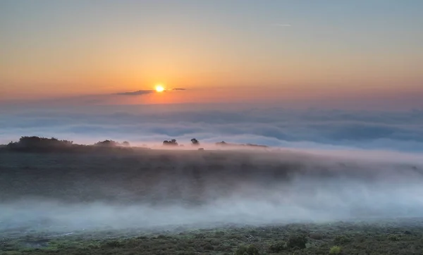 アストゥリアス州 光線効果を作成する光霧のために野生の馬を日没までの山々 — ストック写真