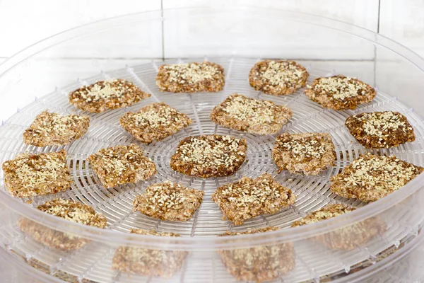 Vegan cookies from wheat with wheat germ, raisins and sesame in preparing process on the dehydrator grid. Top angle view.