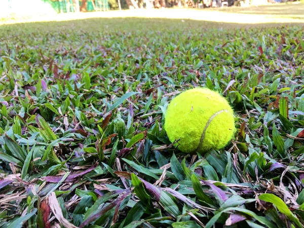 Pelotas Tenis Césped — Foto de Stock