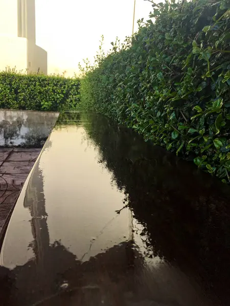 雨后座椅和绿树 — 图库照片