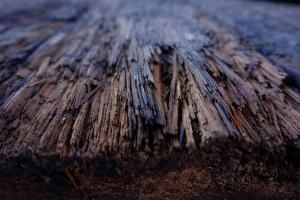 Close Van Brandhout Oppervlak Met Oude Natuurlijke Patroon Donkere Houtstructuur — Stockfoto