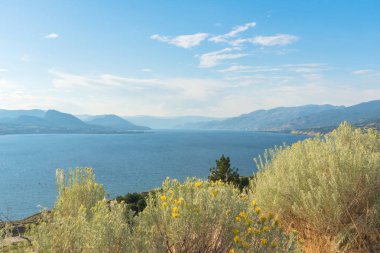 View of lake, mountains, and blue sky in summer with yellow flowers of rabbitbrush in foreground clipart