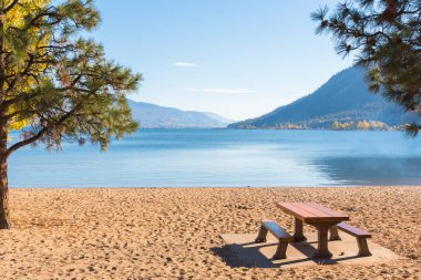 Ponderosa'yı çam ağaçları ve mavi gökyüzü ile kumlu sahilde piknik tablo