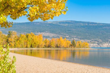 Sandy beach ve sarı sonbahar yaprakları ağaçlarıyla çevrili Gölü