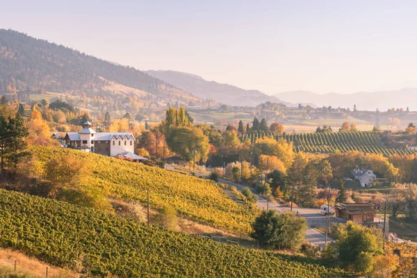 Veduta Vigneti Cantine Sulla Panchina Naramata Tramonto Autunno — Foto Stock