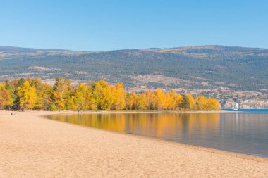 Ağaçlar sarı sonbahar yaprakları ve kumlu plaj sakin gölde yansıyan