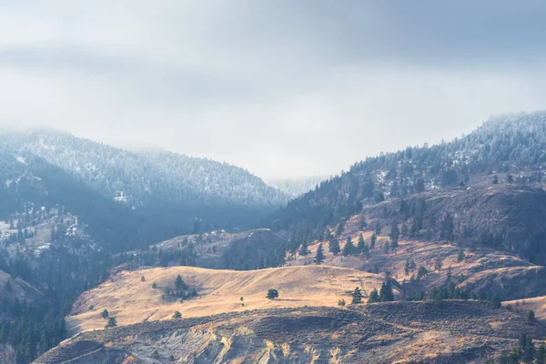 Goldene Grasbewachsene Hügel Kontrast Schneebedeckten Bergen Und Nebel Winter — Stockfoto