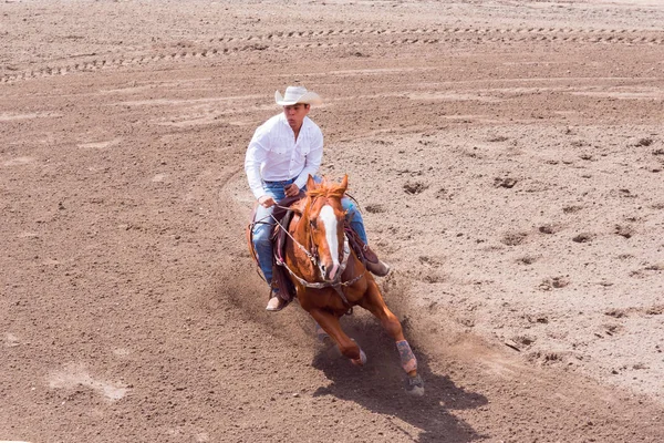 Williams Lake British Columbia Canada Juni 2016 Cowboy Paard Nemen — Stockfoto