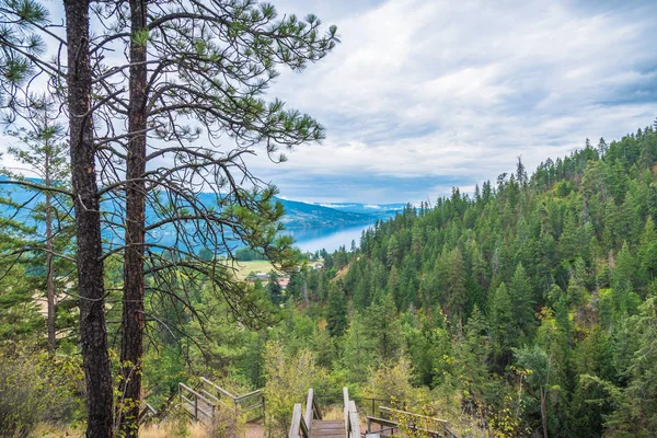 Blick Auf Wald Okanagan See Berge Und Himmel Von Oben — Stockfoto