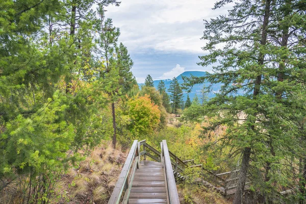 Blick Auf Wald Und Entlegene Berge Mit Treppen Die Kurze — Stockfoto