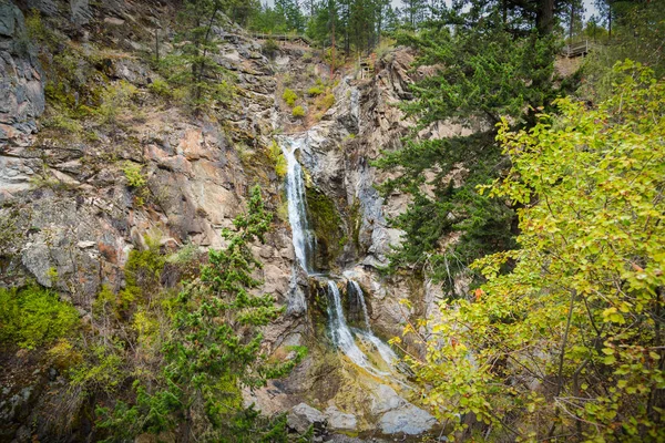 Fintry Falls Shorts Creek Gorge Met Uitkijkplatform Trappen Boven Watervallen — Stockfoto
