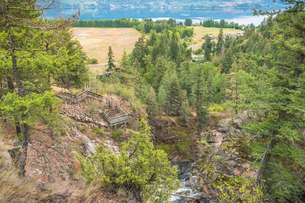 Pohled Shora Rokle Šortky Creek Nižší Vyhlídkové Plošiny Nad Fintry — Stock fotografie