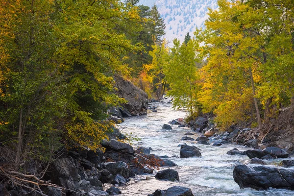 Horská Řeka Obklopená Podzimními Stromy Západem Slunce Odrážejícím Vody Soumraku — Stock fotografie