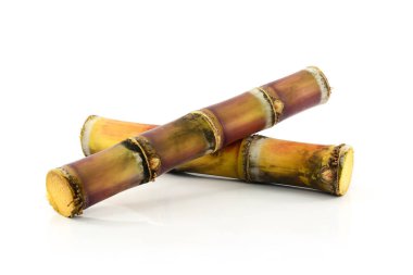 Beyaz arkaplanda izole şeker kamışı