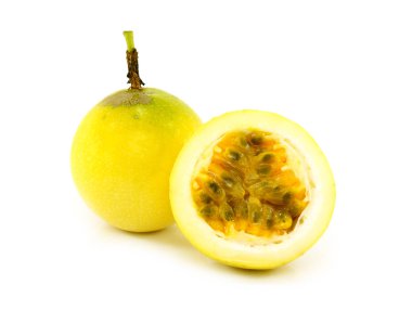 Beyaz arka plan üzerinde böcek ağustosböceği.