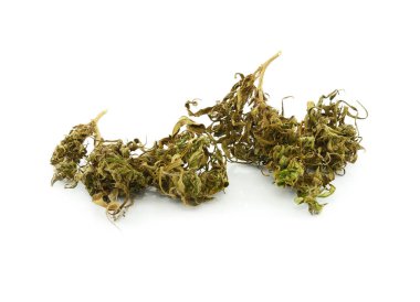 Beyaz arka planda izole edilmiş tıbbi marihuana. Tedavi edici ve tıbbi esrar.