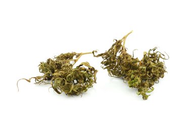 Beyaz arka planda izole edilmiş tıbbi marihuana. Tedavi edici ve tıbbi esrar.
